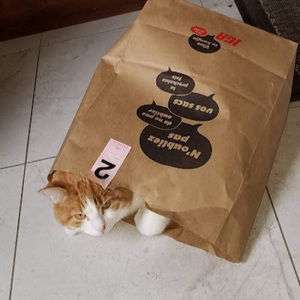 Meet your Posher, Bruce